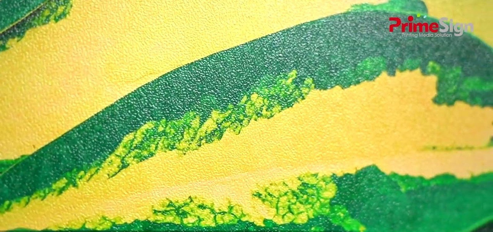 Wall Film in application
